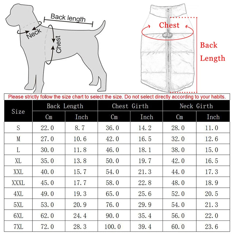 Waterproof Winter Dog Coat – Warm, Comfy & Perfect for All Breeds - The Pawfect Tails