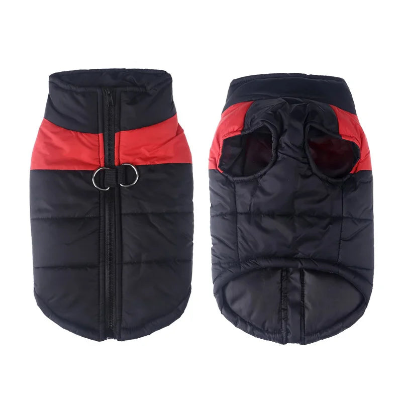 Waterproof Winter Dog Coat – Warm, Comfy & Perfect for All Breeds - The Pawfect Tails