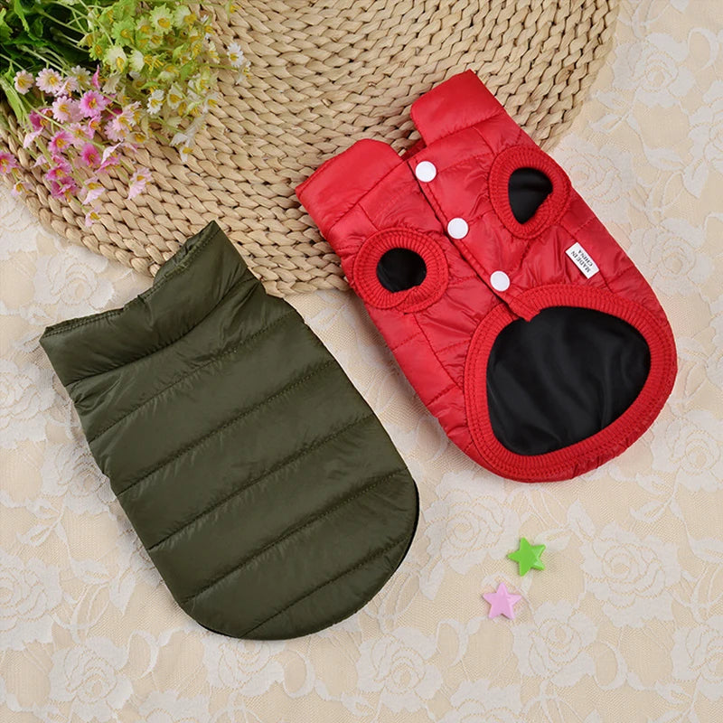 Cozy Winter Dog Jacket – Warm, Stylish & Perfect Fit! - The Pawfect Tails