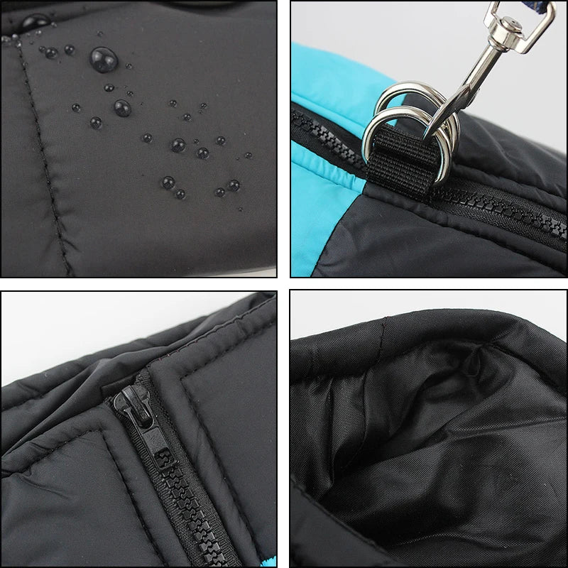 Waterproof Winter Dog Coat – Warm, Comfy & Perfect for All Breeds - The Pawfect Tails