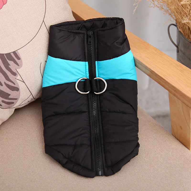 Waterproof Winter Dog Coat – Warm, Comfy & Perfect for All Breeds - The Pawfect Tails