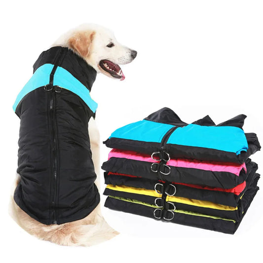 Waterproof Winter Dog Coat – Warm, Comfy & Perfect for All Breeds - The Pawfect Tails