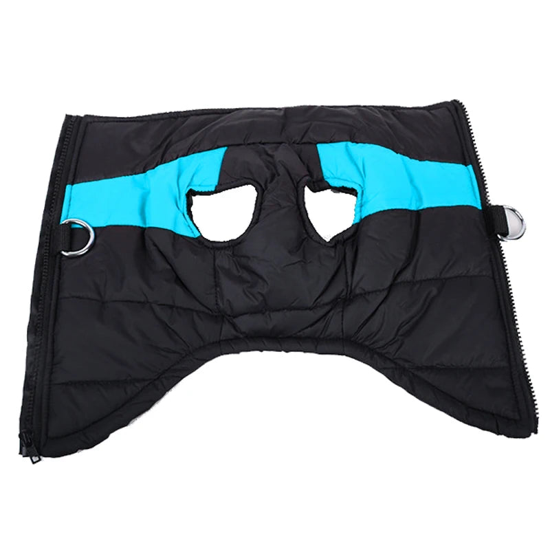 Waterproof Winter Dog Coat – Warm, Comfy & Perfect for All Breeds - The Pawfect Tails