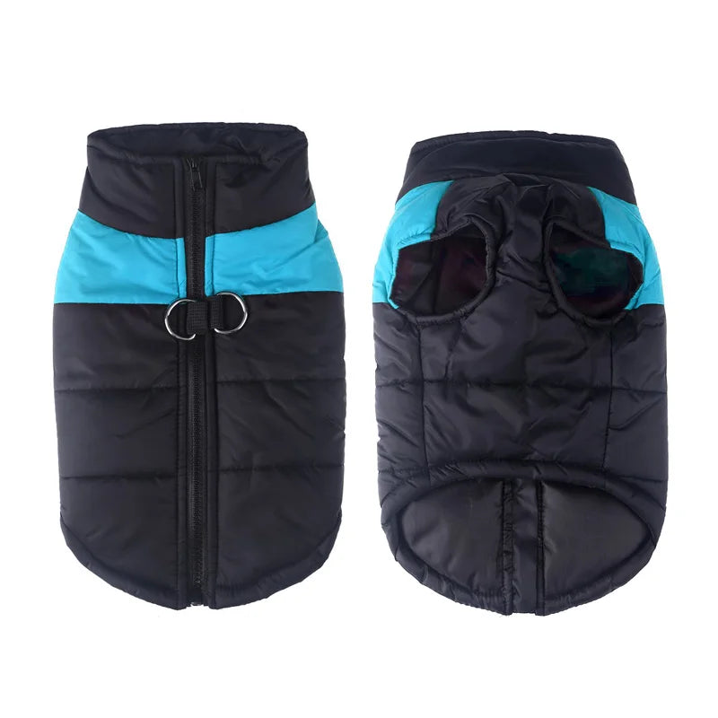 Waterproof Winter Dog Coat – Warm, Comfy & Perfect for All Breeds - The Pawfect Tails