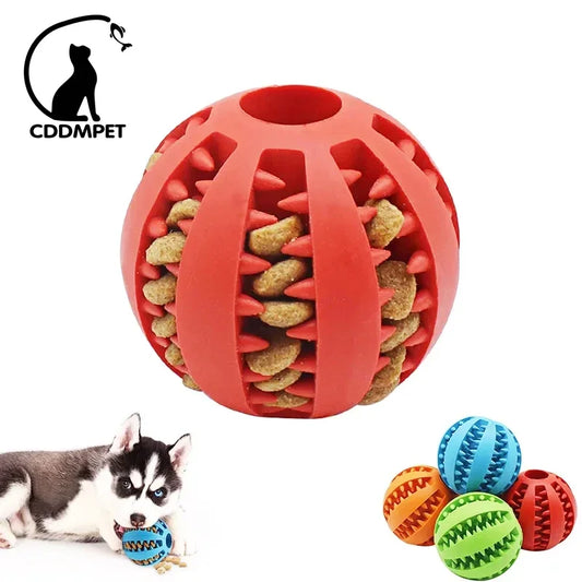 Interactive Chew Ball – Elastic, Food-Dispensing & Teeth-Cleaning Fun - The Pawfect Tails