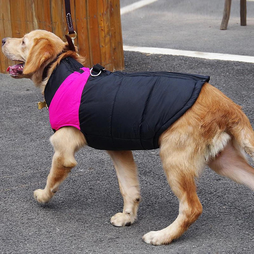 Waterproof Winter Dog Jacket – Warm, Padded & Cozy Vest - The Pawfect Tails