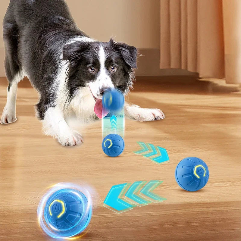 Automatic Smart Dog Toy Ball – USB Rechargeable, Bouncing & Interactive - The Pawfect Tails