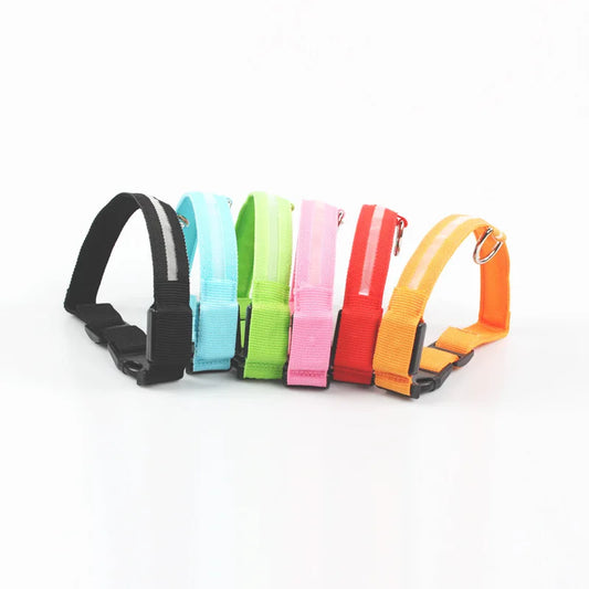 Glow-in-the-Dark Rechargeable Dog Collar – Safe & Stylish Walks - The Pawfect Tails