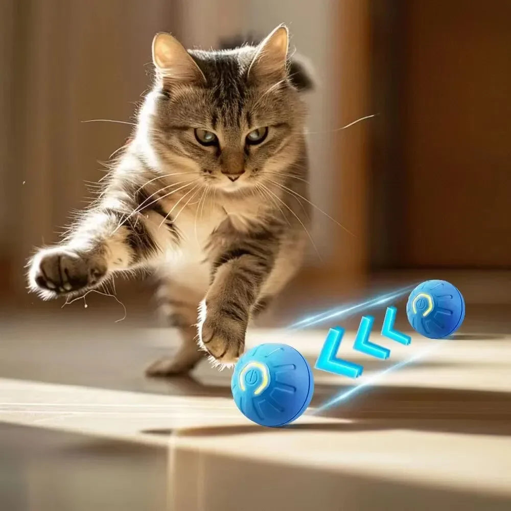 Automatic Smart Dog Toy Ball – USB Rechargeable, Bouncing & Interactive - The Pawfect Tails