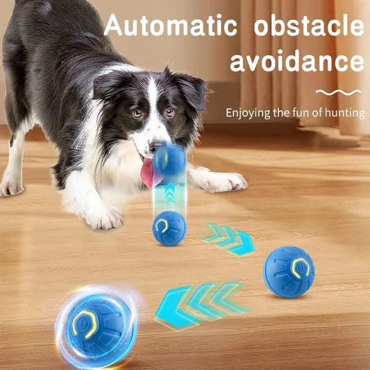 Smart Interactive Dog Ball – USB Rechargeable, Bouncing & Moving Fun - The Pawfect Tails