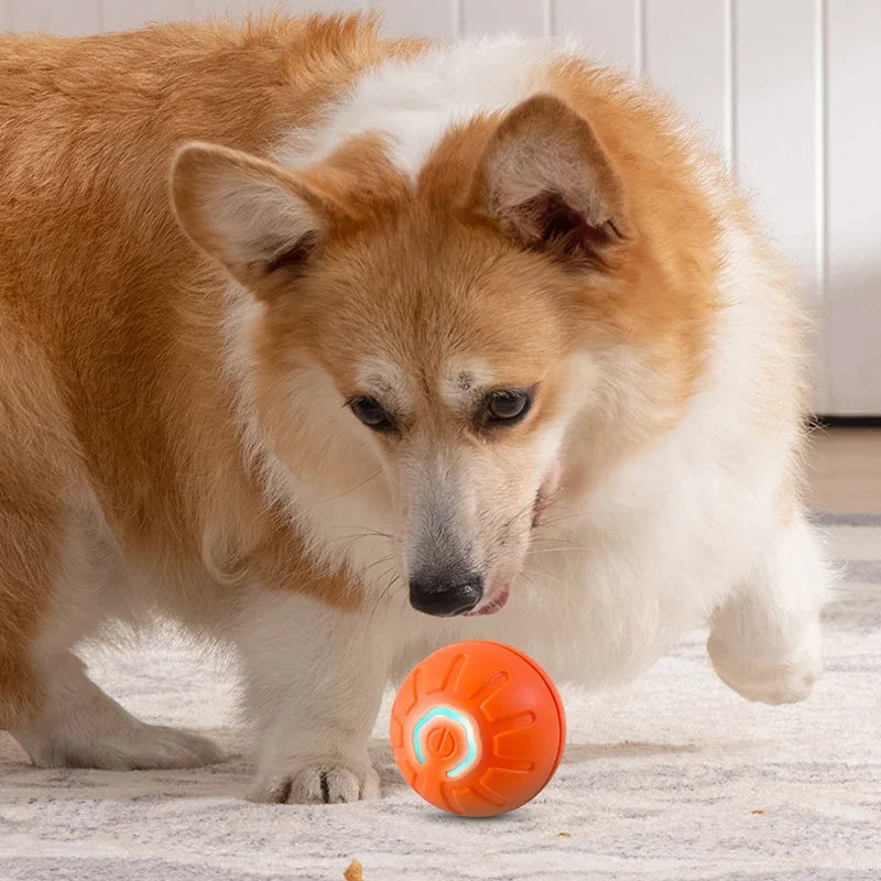 Automatic Smart Dog Toy Ball – USB Rechargeable, Bouncing & Interactive - The Pawfect Tails