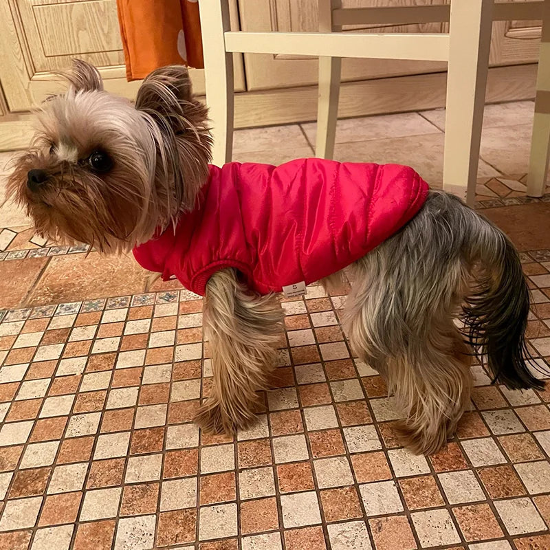 Cozy Winter Dog Jacket – Warm, Stylish & Perfect Fit! - The Pawfect Tails