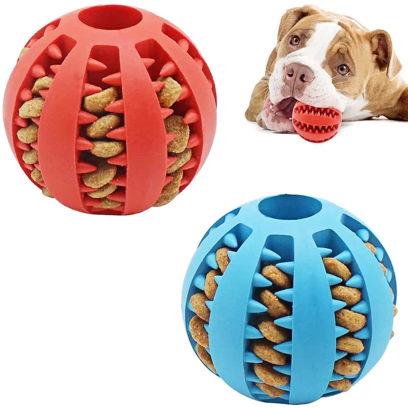 Interactive Chew Ball – Elastic, Food-Dispensing & Teeth-Cleaning Fun - The Pawfect Tails