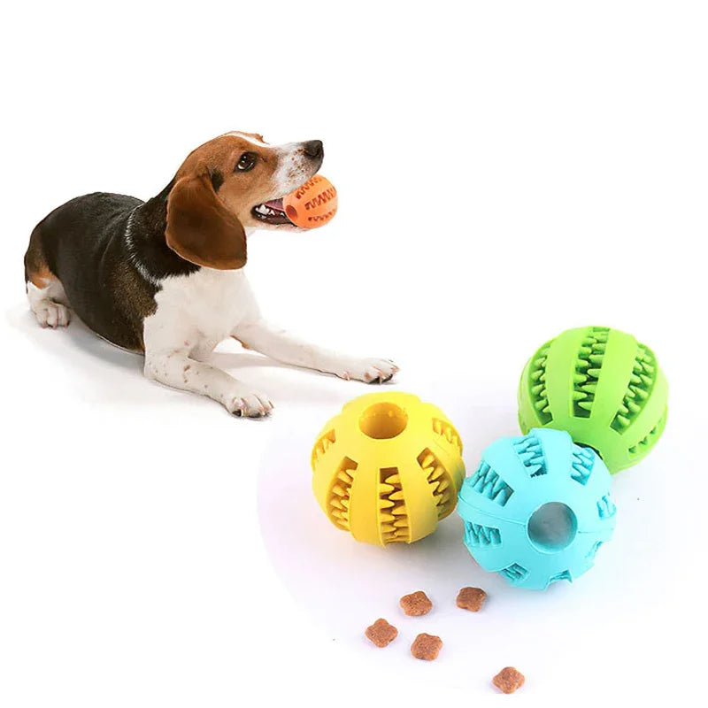 Interactive Chew Ball – Elastic, Food-Dispensing & Teeth-Cleaning Fun - The Pawfect Tails