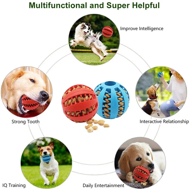 Interactive Chew Ball – Elastic, Food-Dispensing & Teeth-Cleaning Fun - The Pawfect Tails