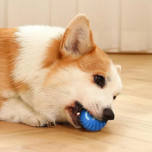 Automatic Smart Dog Toy Ball – USB Rechargeable, Bouncing & Interactive - The Pawfect Tails