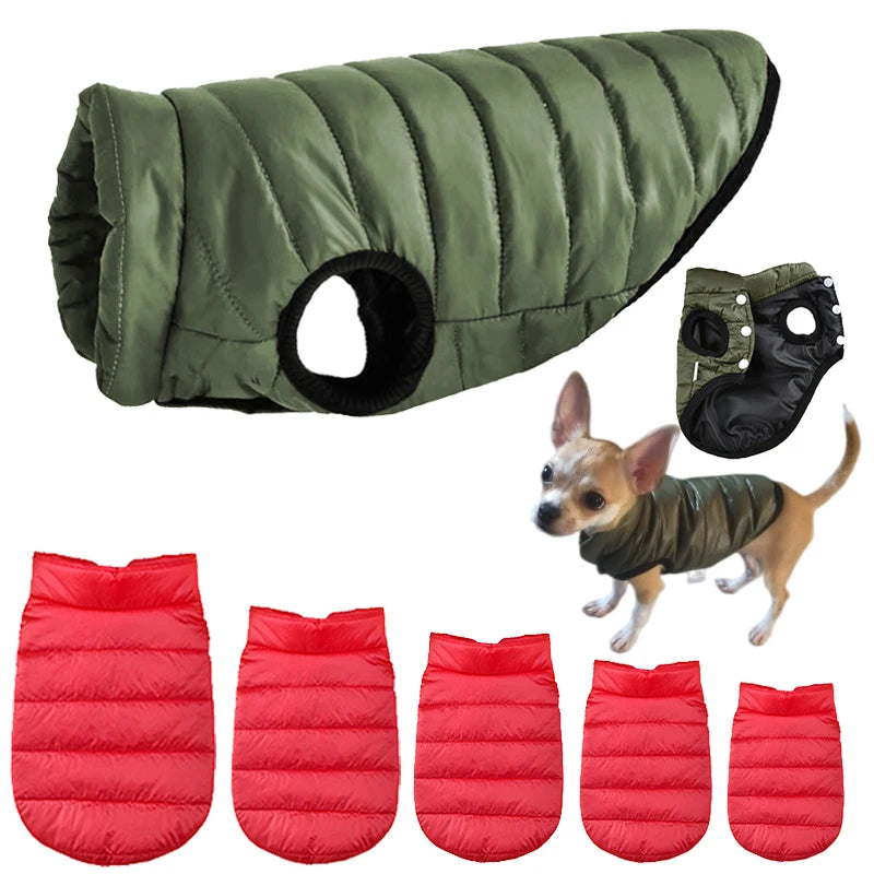 Cozy Winter Dog Jacket – Warm, Stylish & Perfect Fit! - The Pawfect Tails
