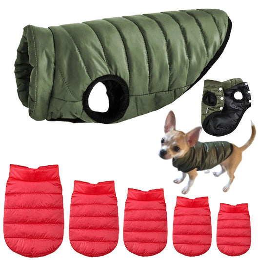 Cozy Winter Dog Jacket – Warm, Stylish & Perfect Fit! - The Pawfect Tails