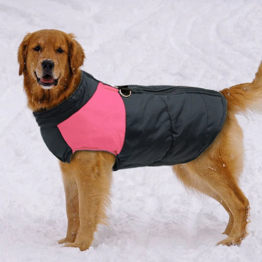 Waterproof Winter Dog Jacket – Warm, Padded & Cozy Vest - The Pawfect Tails