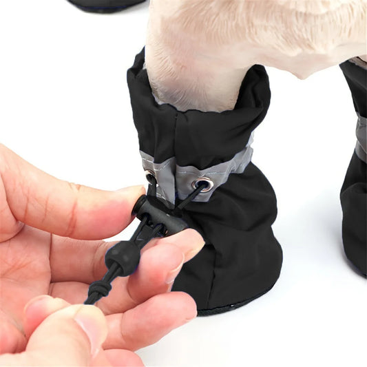 Waterproof Dog Shoes – Ultimate Paw Protection for Your Pup - The Pawfect Tails