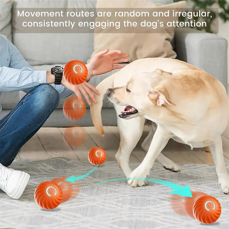 Smart Interactive Dog Ball – USB Rechargeable, Bouncing & Moving Fun - The Pawfect Tails