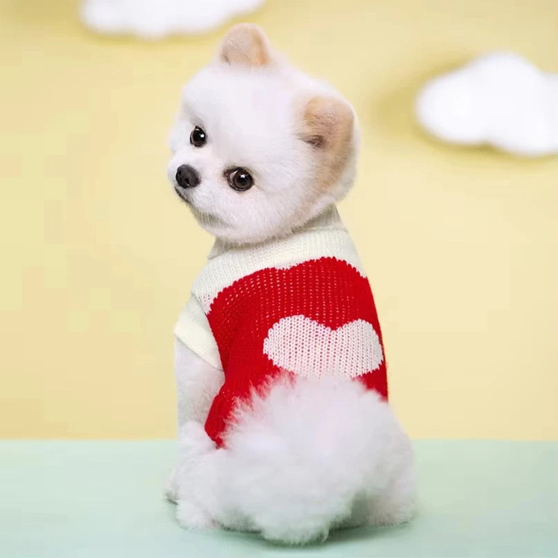 Cozy Knit Dog Sweater – Warm Winter Wear for Pets - The Pawfect Tails