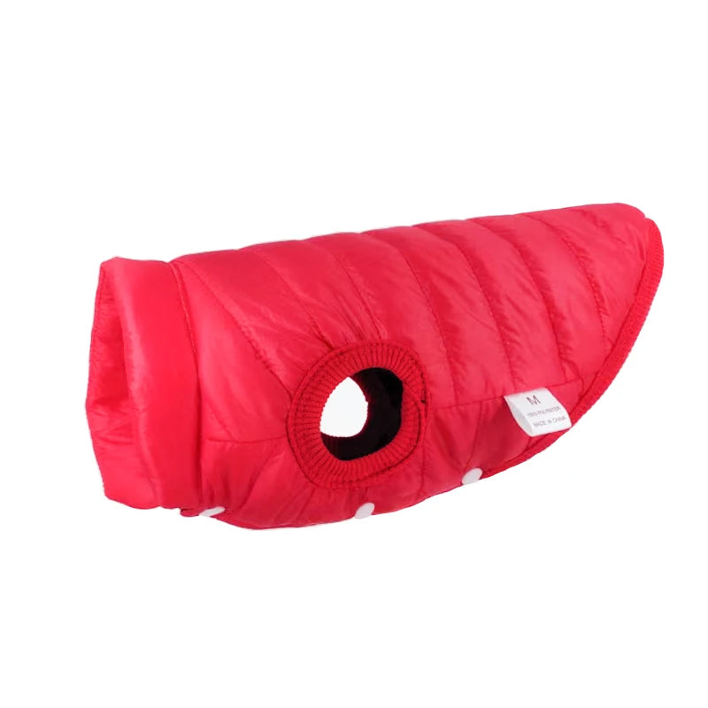 Cozy Winter Dog Jacket – Warm, Stylish & Perfect Fit! - The Pawfect Tails