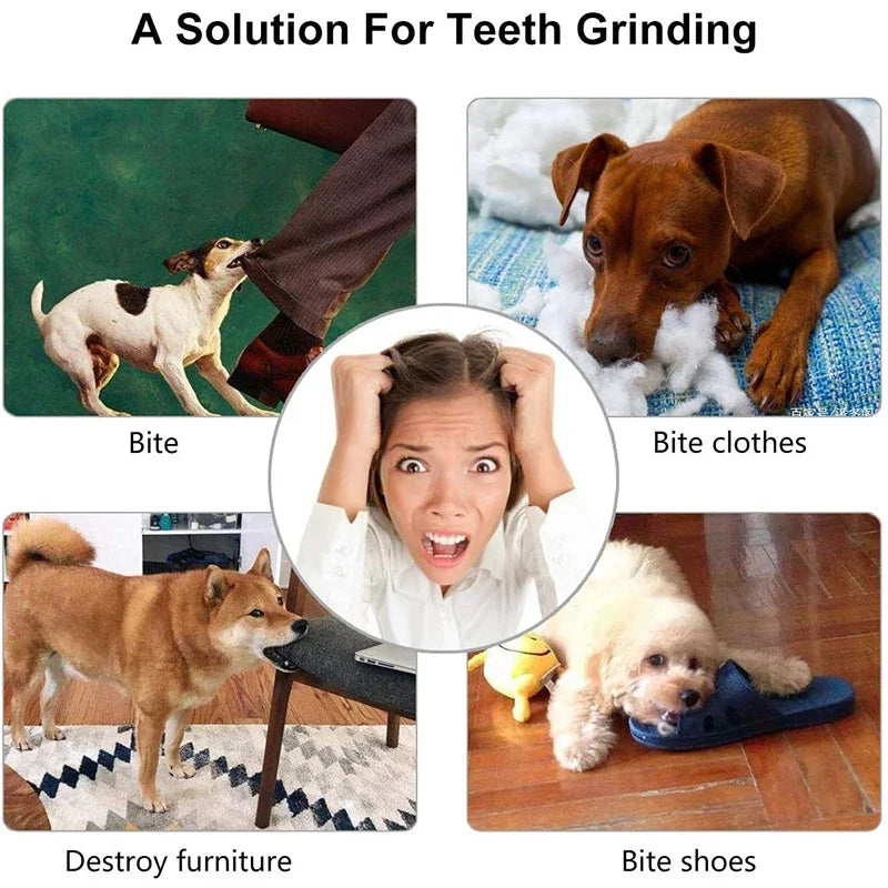 Interactive Chew Ball – Elastic, Food-Dispensing & Teeth-Cleaning Fun - The Pawfect Tails