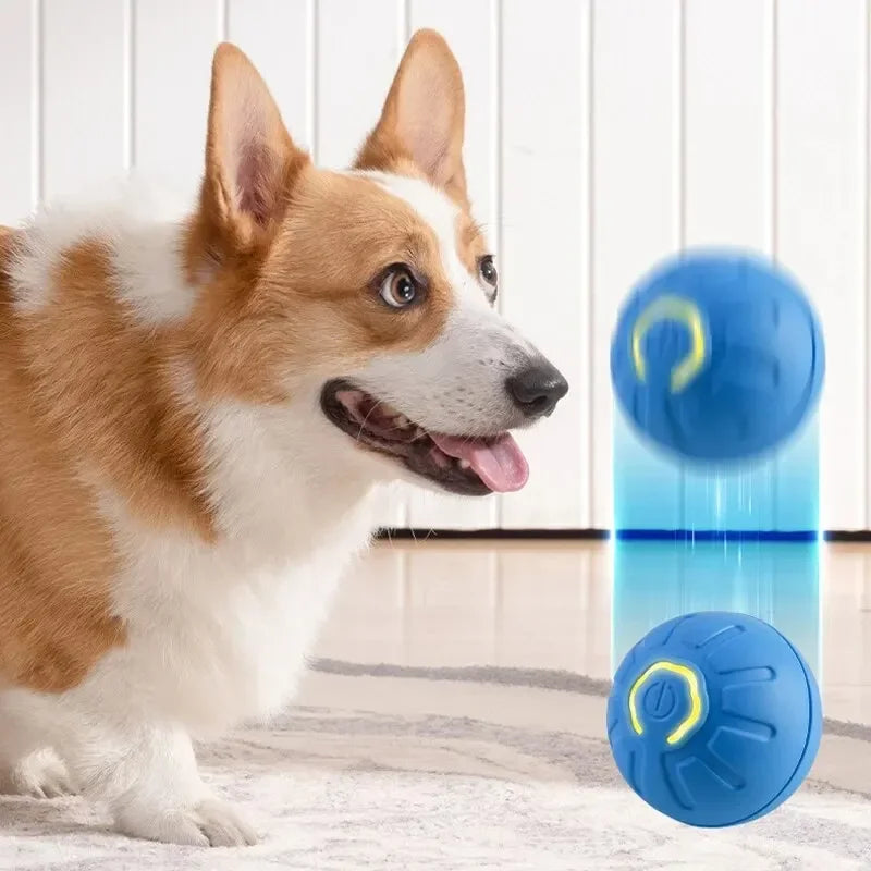 Automatic Smart Dog Toy Ball – USB Rechargeable, Bouncing & Interactive - The Pawfect Tails