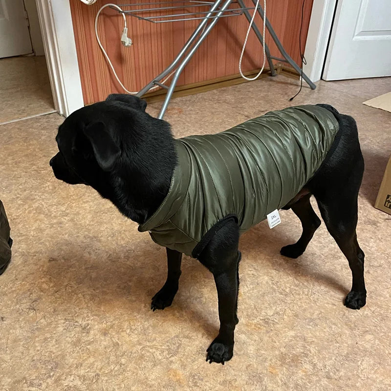 Cozy Winter Dog Jacket – Warm, Stylish & Perfect Fit! - The Pawfect Tails
