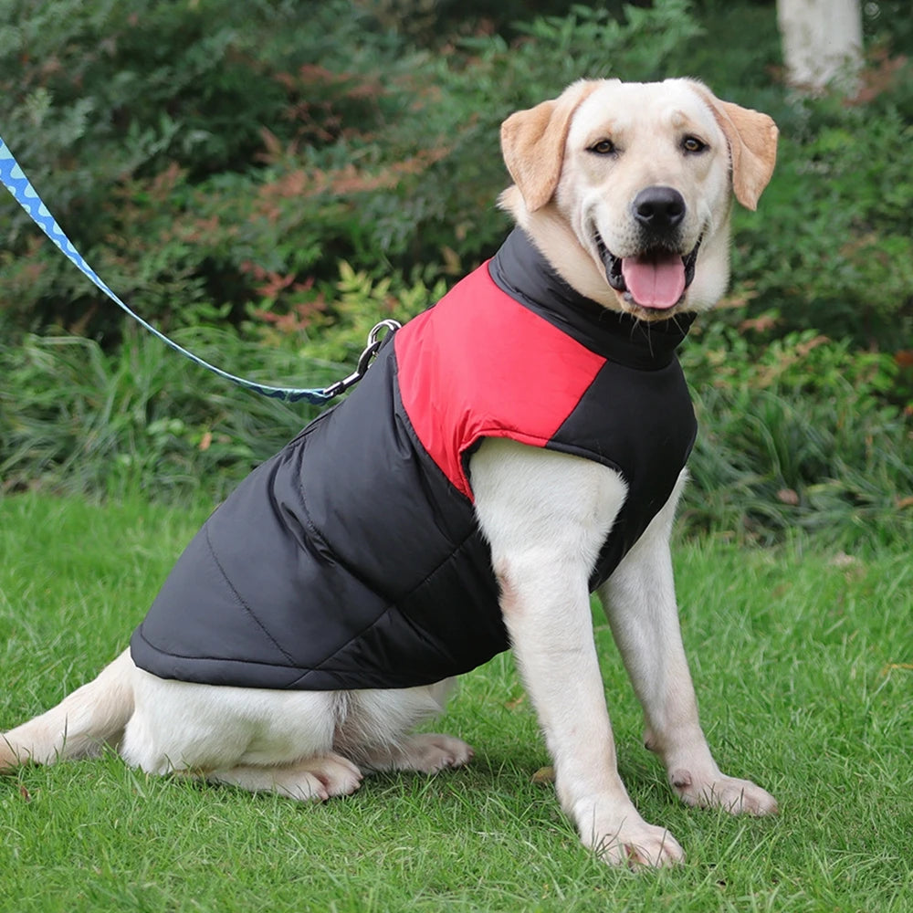 Waterproof Winter Dog Jacket – Warm, Padded & Cozy Vest - The Pawfect Tails