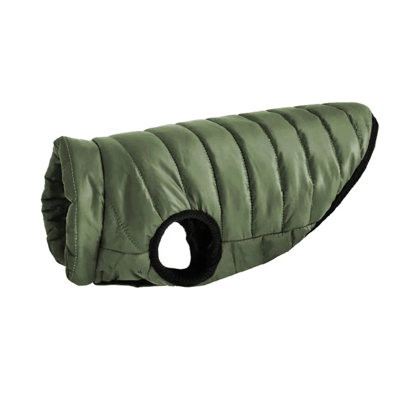 Cozy Winter Dog Jacket – Warm, Stylish & Perfect Fit! - The Pawfect Tails