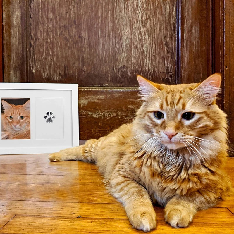 Paw Print Keepsake Kit – Mess-Free Ink Pad for Pets - The Pawfect Tails